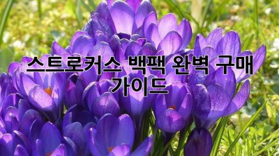 스트로커스 백팩 완벽 구매 가이드