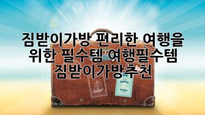 🚗💨 짐받이가방: 편리한 여행을 위한 필수템! #여행필수템 #짐받이가방추천